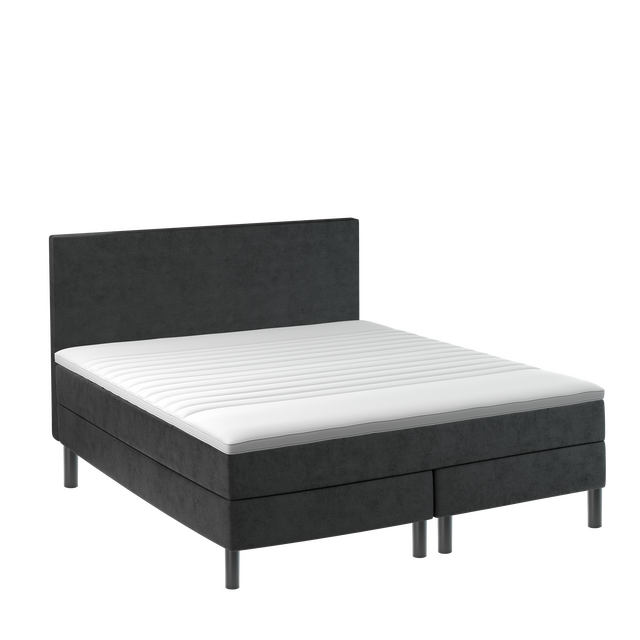 Kampagne Titania Continental Xtra Fast - Moonbeds